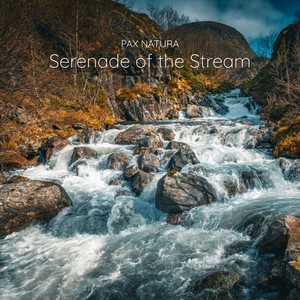 Serenade of the Stream