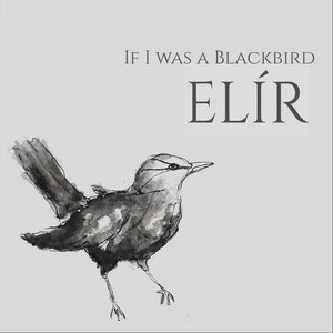 If I Was a Blackbird