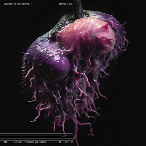 la nuit couvre les cieux