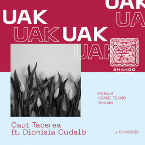 Caut Tacerea (Hoani Teano remix)