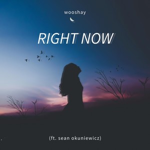 Right Now (feat. Sean Okuniewicz)