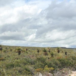 CAN YOU BERNARD LENOIR SESS (Radio Edit)