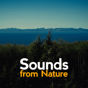 Sounds from Nature