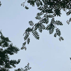 Suffocate (Explicit)