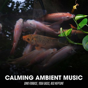 Calming Ambient Music