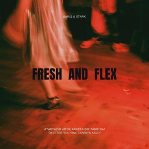 F&F (feat. Stark) (Explicit)