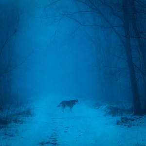 all dogs go to heaven