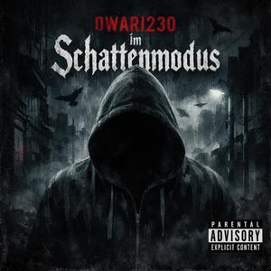 Im Schattenmodus (Explicit)