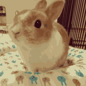 eu juro que eu tentei (Explicit)