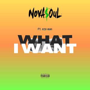 What I want (Explicit)