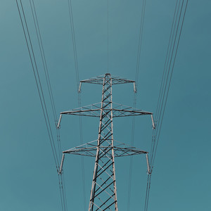 windpipe.conductor.dawn