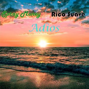 Adios (feat. Rico Suave)