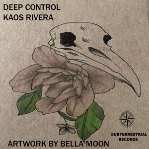 Deep Control