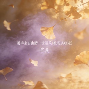 用毕生自由赌一世温柔 (被现实收走)