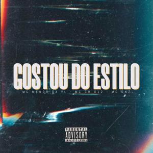 Gostou do Estilo (Explicit)