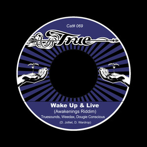 Riddim Dub (Awakenings Riddim)