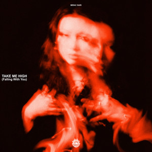 Take Me High (Falling With You)