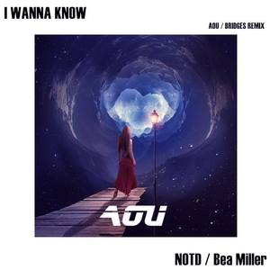 I Wanna Know (Aou X Bridges Remix)