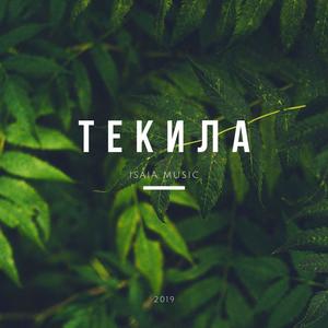 Текила