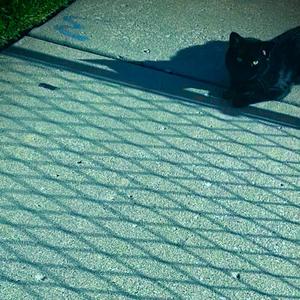 ok That's sick (nuketownss) (Explicit)