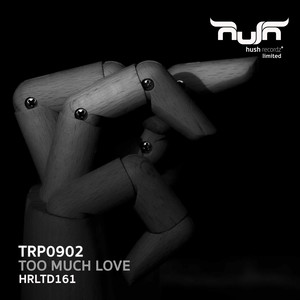 Too Much Love (Original Mix)