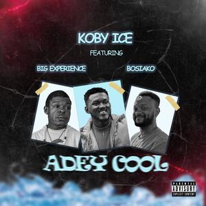 Adey cool (feat. Bosiako & Experience) [Explicit]