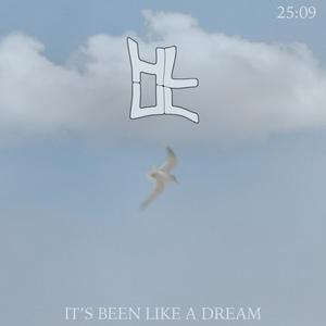 It's Been Like a Dream