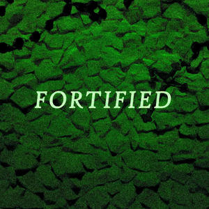 FORTIFIED (feat. Mic.Heals) [Original Version] [Explicit]