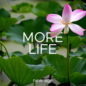 More Life - The Ultimate Collection of New Age Relaxing Music