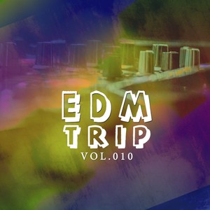 EDM Trip, Vol. 010 (Original Mix)