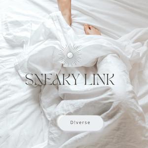 Sneaky Link