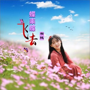 蝶来蝶飞去-女声 (伴奏)