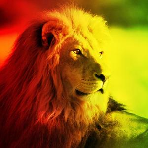 Rastafari Is Not Your Concern (feat. Heather Lioness Lindsey)