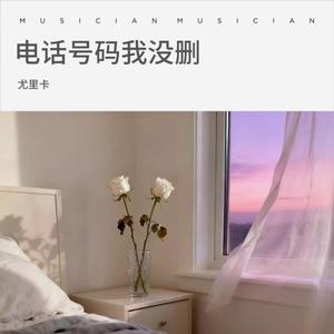 电话号码我没删