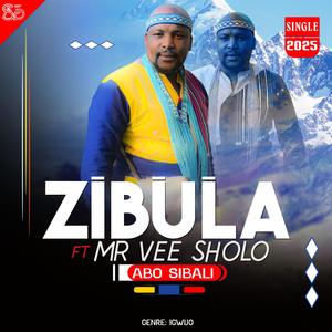Abo Sbali (feat. Mr Vee Sholo)