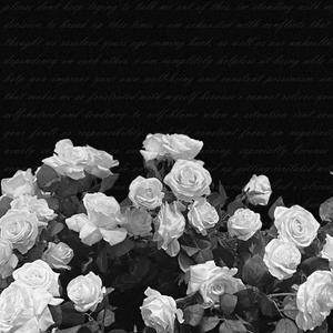 Elegy For The Keeper