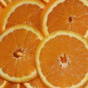 die-ssect (everlasting agony) (Explicit)