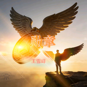 勋章-王雪峰