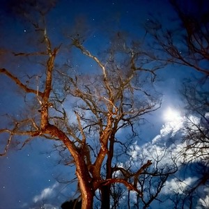 Nothing Left to Give Her