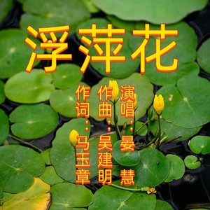 浮萍花D调 (伴奏)