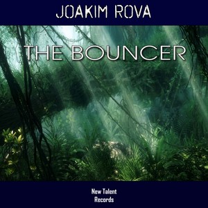 The Bouncer