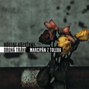 Rada snu (Series of Dreams)