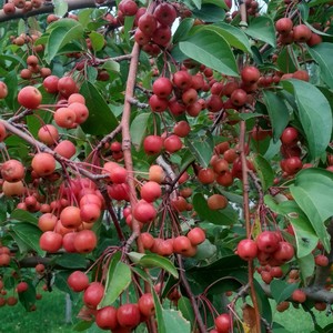 春天就是一幅画