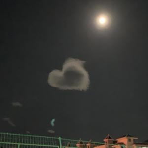 机器人 (Prod.By Bizy)