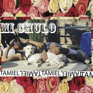 Mi Chulo (Explicit)