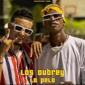 La Pela (feat. Los Dubrey) (Remix)