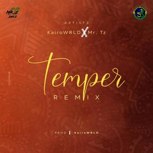 Temper (feat. Mr.Tz) [Remix]