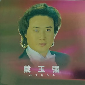 松花江上 (Live) - 戴玉强封面