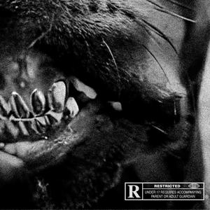 DO IT CLEAN (feat. CEDEH) (Explicit)