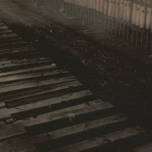 Sundays and Holidays